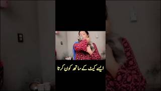 Cat And Girls Short Video Kiran Siyal Vlogs