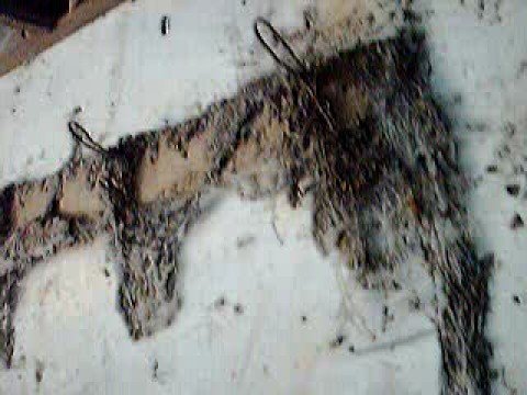 VIDEO CAZA FANTASMA COM video caza fantasma com: