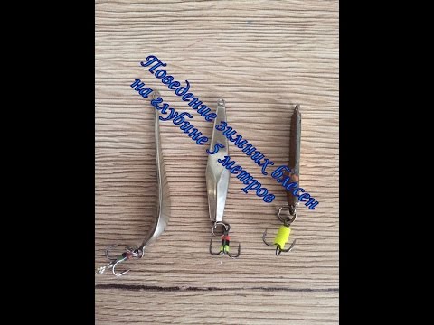 ловля окуня на блесну спортивная ловля окуня на блесну спортивная
