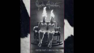 Watch Janes Addiction Summertime Rolls video