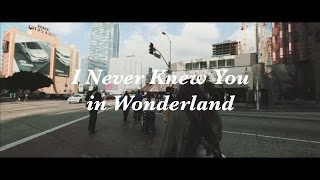 Sore - I Never Knew You In Wonderland