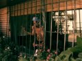 Plaga Zombie 2 Full Movie Pelicula Completa