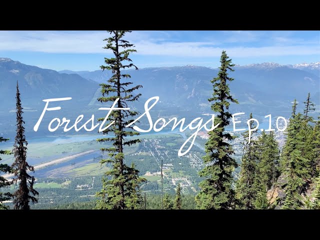 Watch Sly Violet - Valerie (Amy Winehouse cover) | Forest Songs Ep.10 | Revelstoke, British Columbia on YouTube.