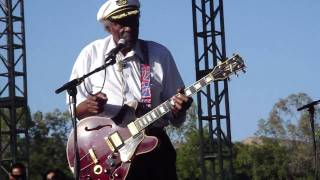 Watch Chuck Berry Every Day I Have The Blues video