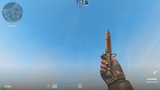 Bayonet Rust Coat Battle-Scarred 0.94 Float In Cs2 Official Launch Have Metallic Finish 4K