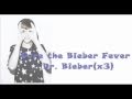 Justin Bieber Dr. Bieber (Lyrics on the screen)