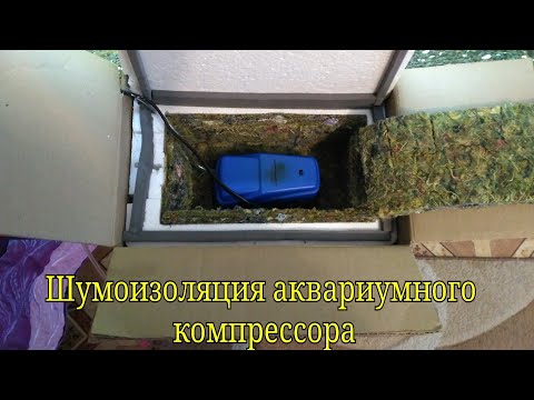 Как сделать бесшумный аквариум Как сделать бесшумный аквариум