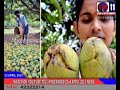 Tv11 Hyderabad 22nd April 2013 Todays Telugu News Updates