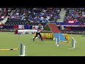 agility