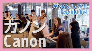 カノン フルート バイオリン ピアノ 朝 クラ Asa Kura カノン フルート バイオリン ピアノ 朝 クラ Asa Kura