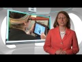 mobile tech