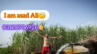 Vlog Whit Zeeshanasad Swimming03120786926