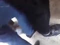الساعدي