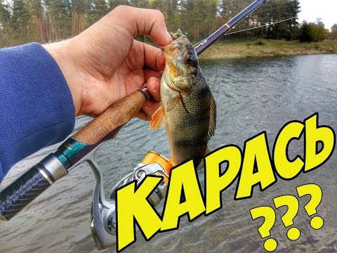 рыбалка на удочку на карася в апреле на удочку рыбалка на удочку на карася в апреле на удочку