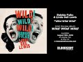Wild Wild Wild Video preview