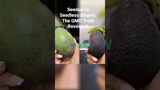 Seeded Vs Seedless Gs The Gmo Truth Revealed