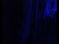 Circo loco @ the end Mr C