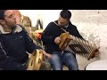 Tarantella calabrese Andrea Sorbara e Diego Mallamaci