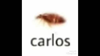 Carlos