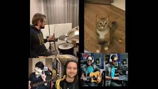 cat morning song (but it's everyone at once)