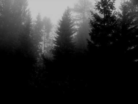 Transilvanischer Hunger Video
