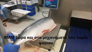 Μηχανή σταθερού βάρους