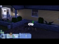 Let's Play The Sims 3 Life As A Stray! Part 3! A MATE!