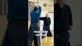One Wrist Or Two Wrists | Musō Shinden Ryu: Seichūtō