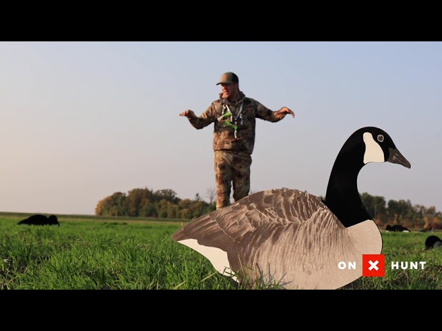 Watch The BASICS Of Setting FIELD Decoy Spreads For GOOSE Hunting on YouTube.