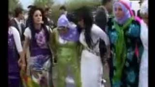 Daweta Diyadin U Fatma 2