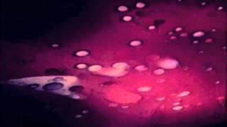 Bird Sorrow Blues The Venus Fly Trap One Girl Band & Lee Zard 2011