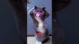 Suddenly, This Cat Start Perfect Dancing