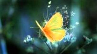 Watch Tahiti 80 Yellow Butterfly video