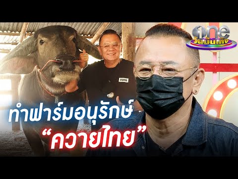"น้านงค์" ตั้งใจทำฟาร์มอนุรักษ์ควายไทย | ประเด็นร้อน
