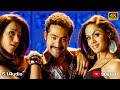 Dhammu 4k Video Song || Dhammu Movie || Jr NTR ,Trisha Karthika Nair || Boyapati Srinu