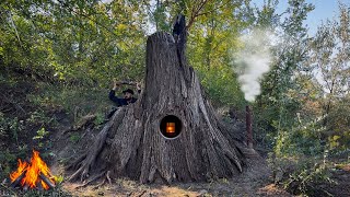 Building A Secret Shelter Inside A Giant Tree Bushcraft & Survival Skills