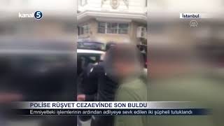Veteriner ilaç Ovariovit: kullanım talimatları 2