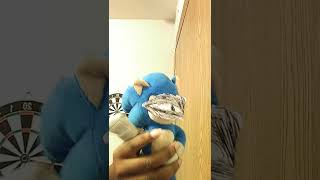 Cyclops Sonic