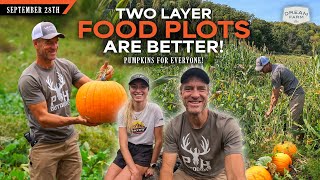 Two Layer Food Plots Are Better - My New Strategy - Pumpkin Update Dream Farm W Bill Winke