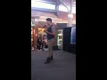 Av Idol Audition