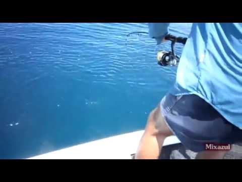 LETRA TIBURON VICENTICO letra tiburon vicentico: