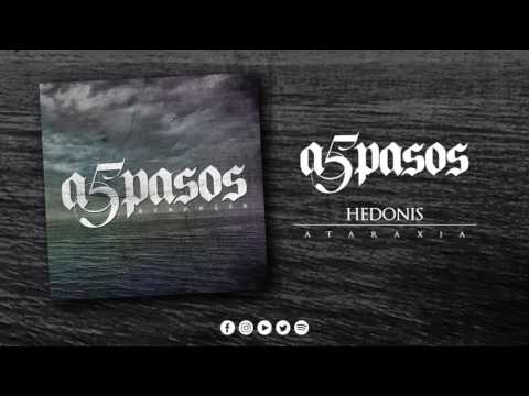Hedonis Video