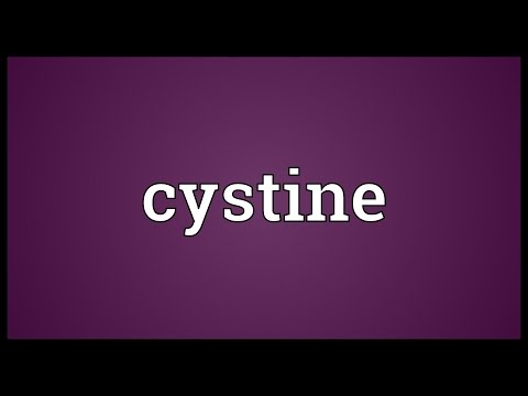 Header of cystine