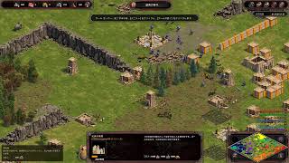 TsuyoFarmer's Adventure on Age of Empires Definitive Edition