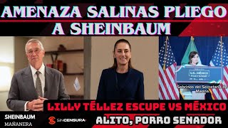 Amenaza A . Escupe Vs . , Porro Senador