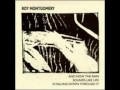 Roy Montgomery - Ill At Home