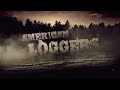 American Loggers - Flirting With Death