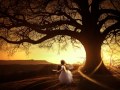 Johann Pachelbel Canon in D Major fantastic version.classical music