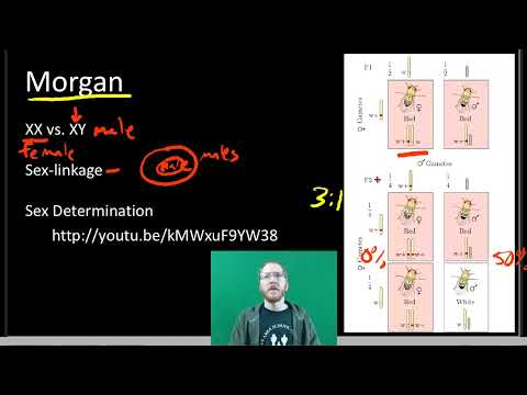 ap bio chapter 4 course learning ap bio chapter 4 course learning