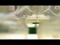 Sapphire bioengineering labs San Diego and Las Cruces